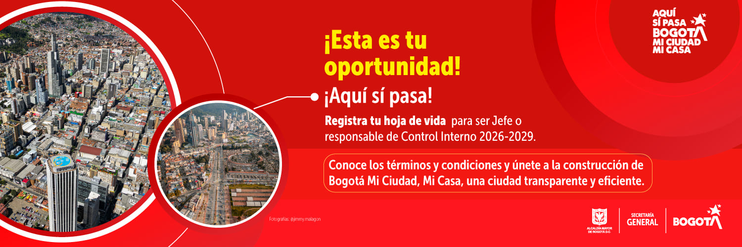 Control interno banner